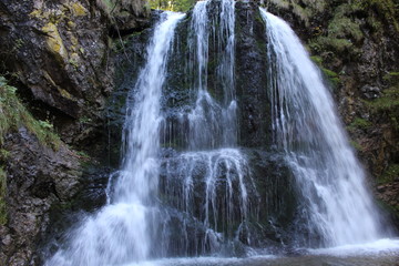 Fototapeta premium wasserfall