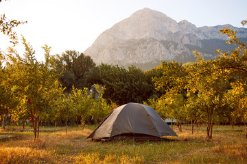 tents in the garden