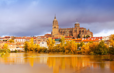 Fototapeta na wymiar Salamanca Cathedral in november.