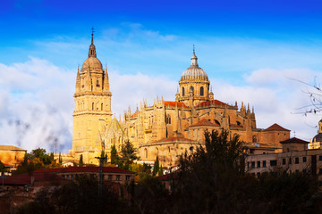Fototapeta na wymiar Salamanca Cathedral