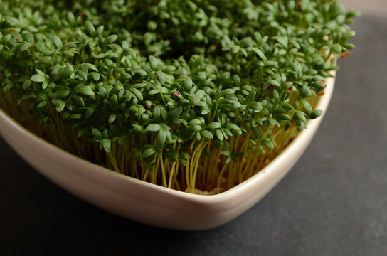 Fresh cress in a bowl