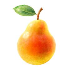 beautiful pear