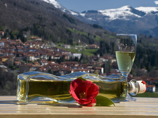 la bottiglia e il fiore