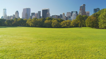 vertical pan shot park skyscrapers - Powered by Adobe