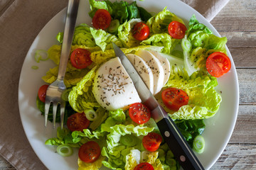 Fresh salad with mozarella cheese and cherry tomatoes, top view