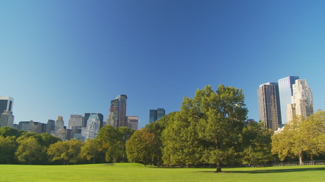 sunny day in central park