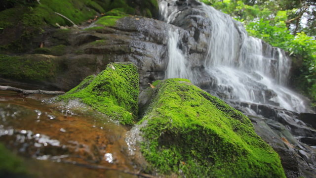 tropical waterfall with shallow focus and audio