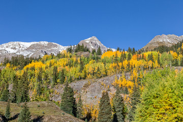 Colorado Fall Scenic