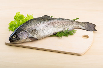 Raw fresh trout