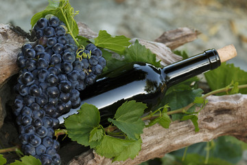 Bouteille de Vin et raisin