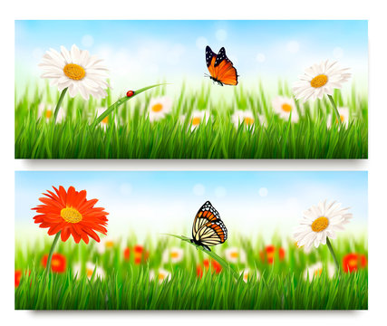 Summer nature banners with colorful flowers and butterfly. Vecto