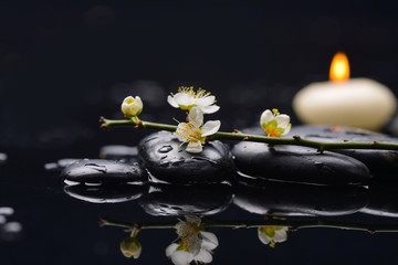Obraz na płótnie Canvas Still life with cherry blossom with white candle on black stones