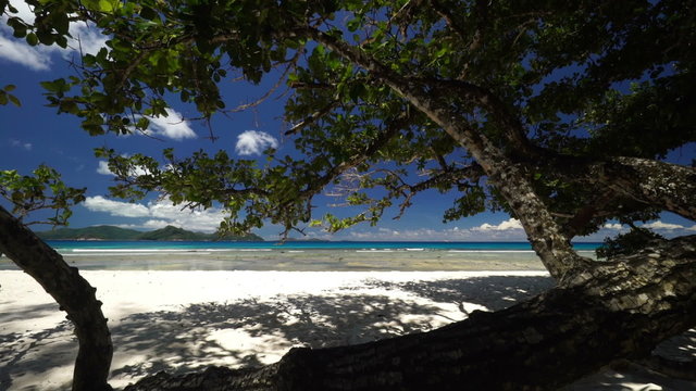 ebb at sandy beach