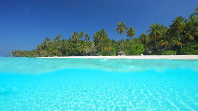 island paradise split shot