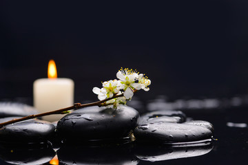 Spring blossom with white candle on black stones