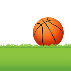 Basketball Sitting on Green Grass Illustration