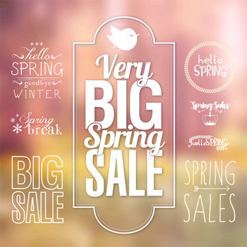 Spring typography vector set for sale label banner