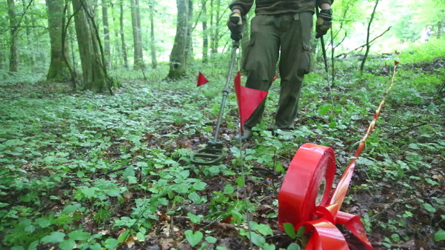 KUTINA, CROATIA - JUNE 2014: Man trying to detect mine in demining process in the middle of forest. 
