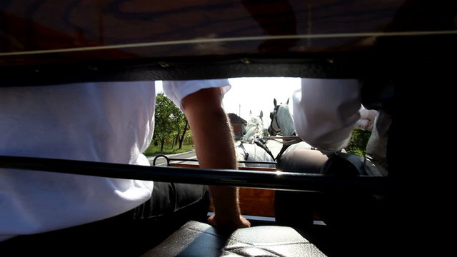 Men sitting on horse drawn carriage on road