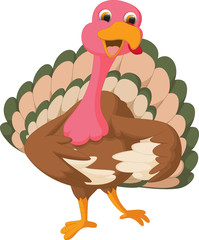 turkey cartoon