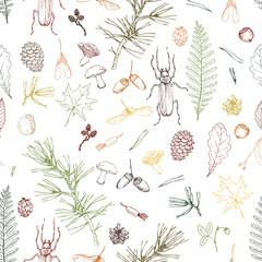 seamless pattern with forest objects