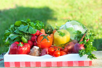 fresh organic vegetables
