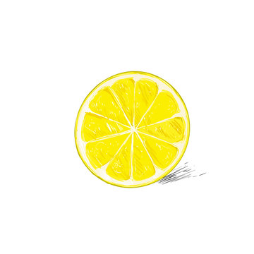 Lemon Half Cut Circle Citrus Fruit Color Sketch Draw Isolated