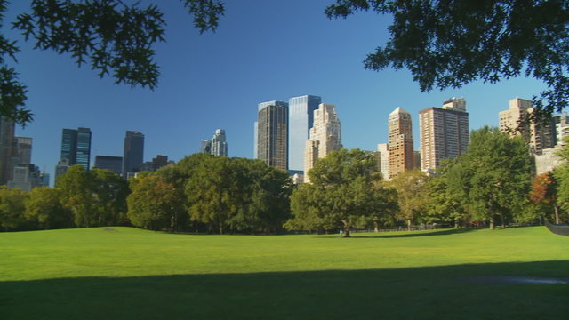pan shot sheep meadow in central park and skyscrapers part I of II
