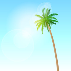 Fototapeta na wymiar green palm tree over blue sky vector