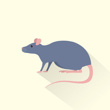 rat gray mouse icon flat shadow vector