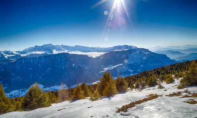 Winter white snowy mountains and green conifers