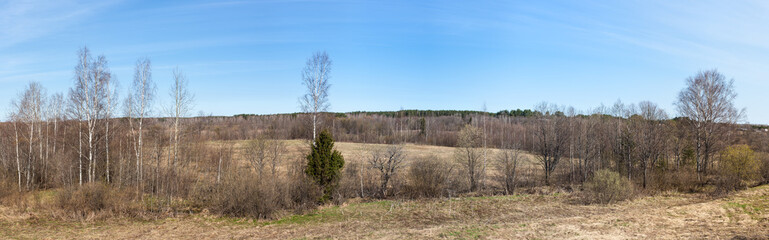 early spring panorama