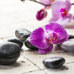 zen femininity with massage stones and orchid flowers