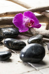 zen pebbles with pink orchid for beauty atmosphere