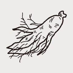 Ginseng doodle