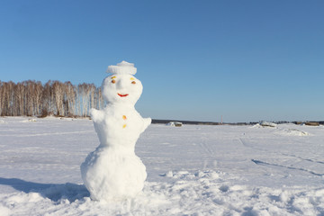 Obraz premium Snowman