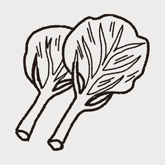 Cabbage doodle