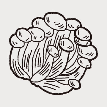 Mushroom doodle