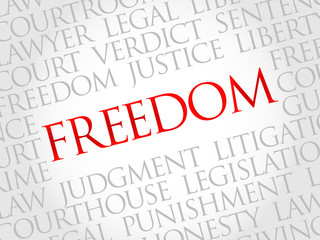 FREEDOM word cloud concept