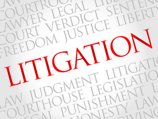 Litigation word cloud concept
