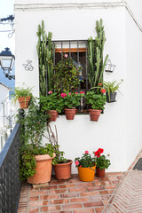Fototapeta na wymiar Villages of Andalucia with flowers in the streets
