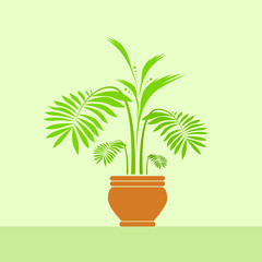 green leave flower in pot vector