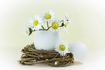 Bouquet of daisies in an eggshell. Shallow depth of field.