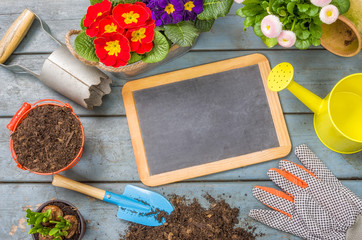 Leere Tafel auf Pflanztisch mit Gartenutensilien