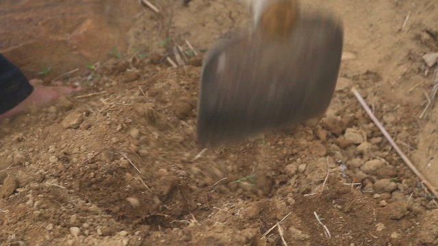 Close up view of a man digging and working on a land