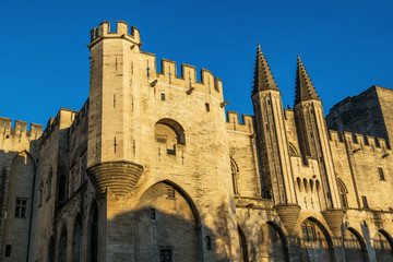 Fototapeta na wymiar Palais des Papes Avignon