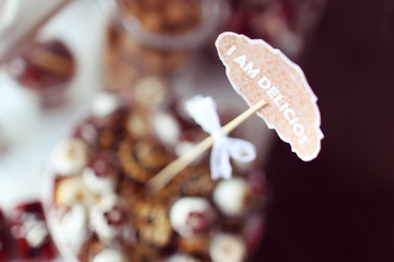 I am delicious text for candy bar