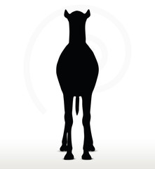 camel in default pose