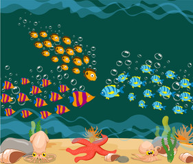 Naklejka na ściany i meble ocean fish. Ocean Underwater World