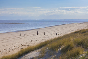 Natural beach environment UK coast